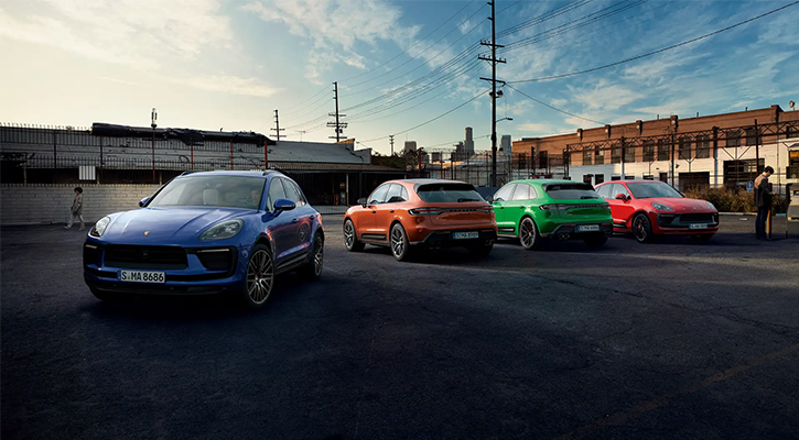 Macan